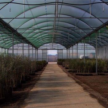 trabajos de agricultura y topografía en Castellón