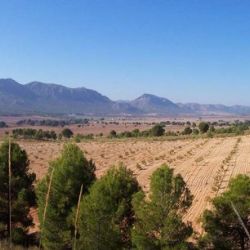 trabajo de agricultura y topografía en Castellón