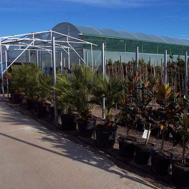 servicio de agricultura en Castellón
