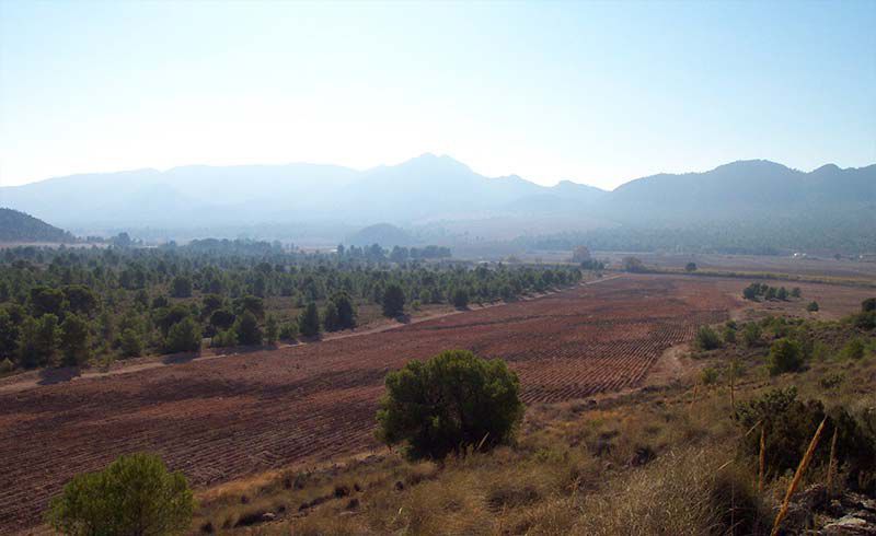 Roturación de tierras