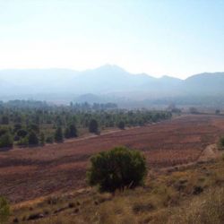 Roturación de tierras