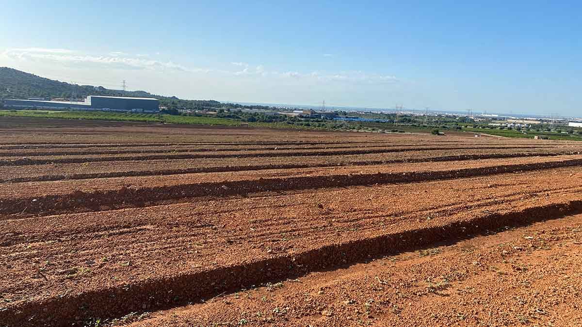 Servicios de agricultura