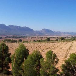 Trabajos de topografía para agricultura