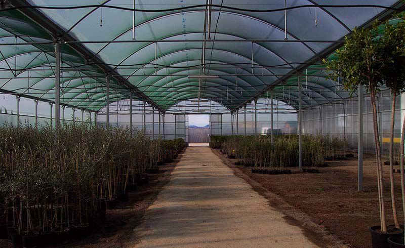 Nave agrícola