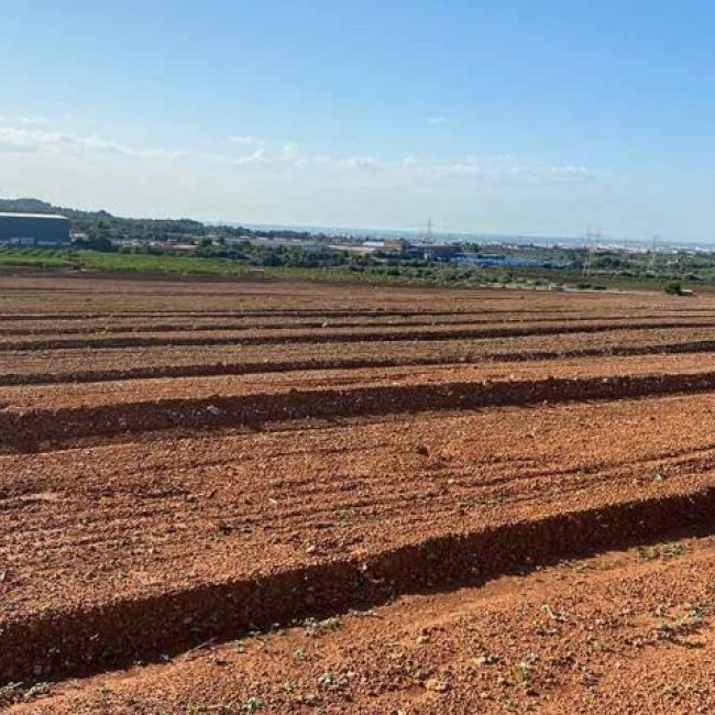 Servicios de agricultura