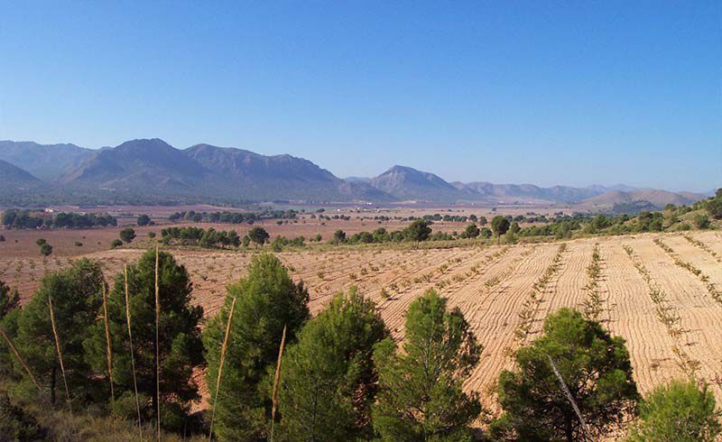Trabajos de topografía para agricultura